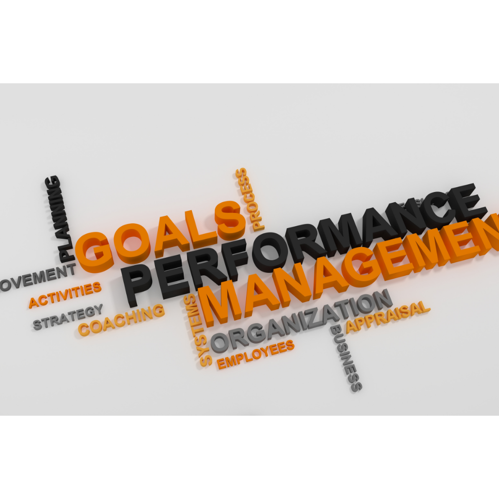 Professionelles Krisenmanagement, einschließlich Ziele, Performance und Management